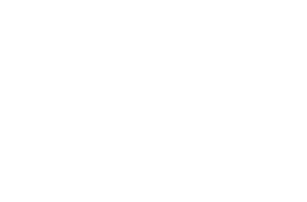 White logo transparent